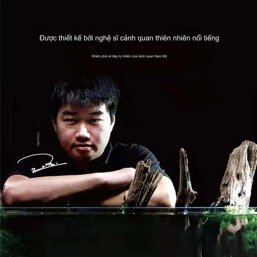 Cảnh quan bằng gỗ chìm phong cách Nam Mỹ cho bể cá Xiaomi 20L	